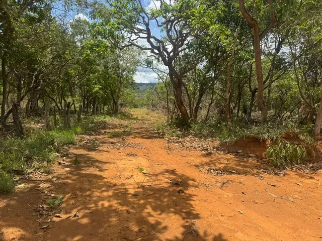 Imagem: Chácaras a Venda Parceladas 40Km de Anapolis