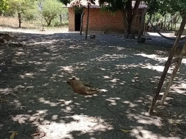 Imagem 2: Vendo Um Sítio com Casinha Simples