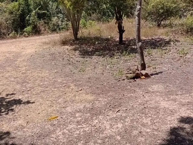 Imagem 5: Vendo Um Sítio com Casinha Simples