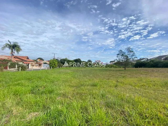 Imagem: Terreno no Igara