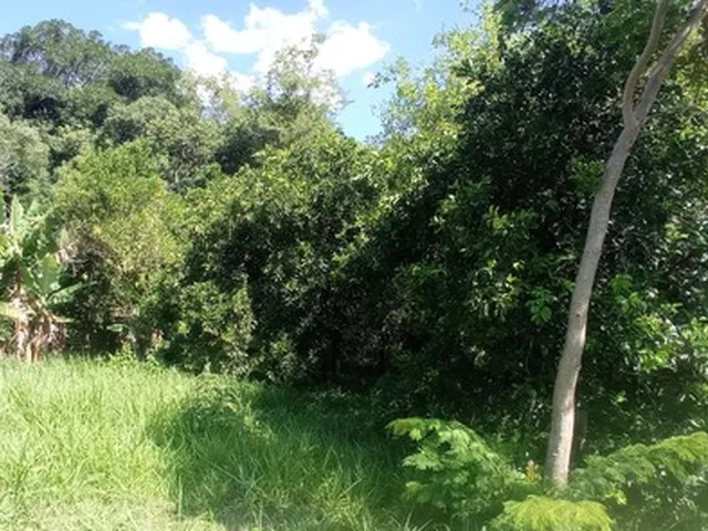 Imagem 14: Chácara Pertinho da Cascata do Chuvisqueiro