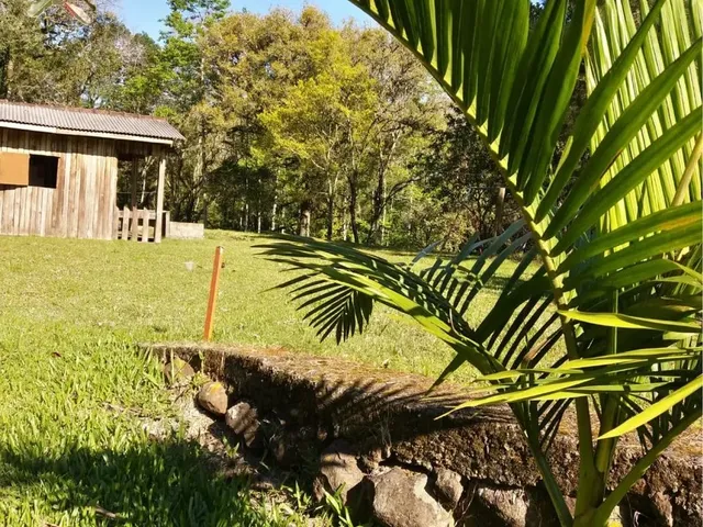 Imagem 2: Sítio Completo em Picada Verão - Sapiranga/Rs