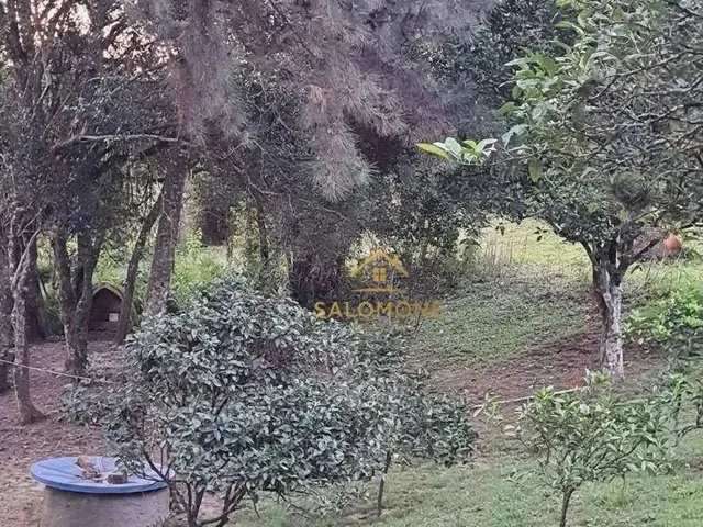 Imagem 7: Salomone Vende: Belíssimo Sítio no Espigão