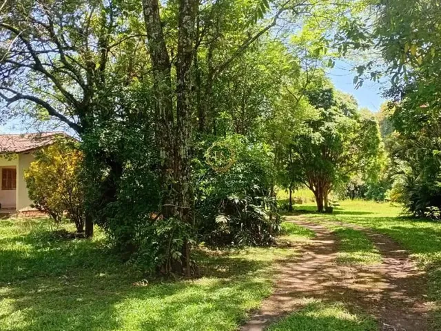 Imagem: Chácara À Venda em Nova santa Rita - 1,5Ha