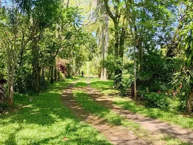 Imagem 10: Chácara À Venda em Nova santa Rita - 1,5Ha de Área Próximo À Br-386 Ref: Cs0109