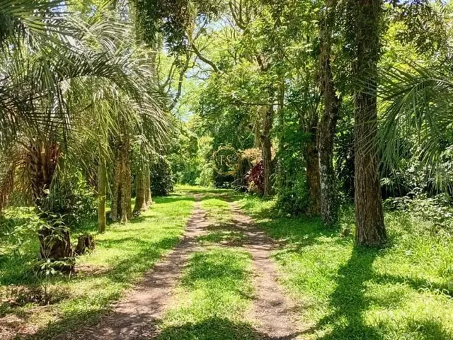 Imagem 5: Chácara À Venda em Nova santa Rita - 1,5Ha de Área Próximo À Br-386 Ref: Cs0109