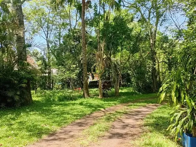Imagem 3: Chácara À Venda em Nova santa Rita - 1,5Ha de Área Próximo À Br-386 Ref: Cs0109