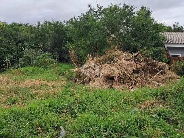Imagem: Terreno - Rua Diogo Antonio Feijó