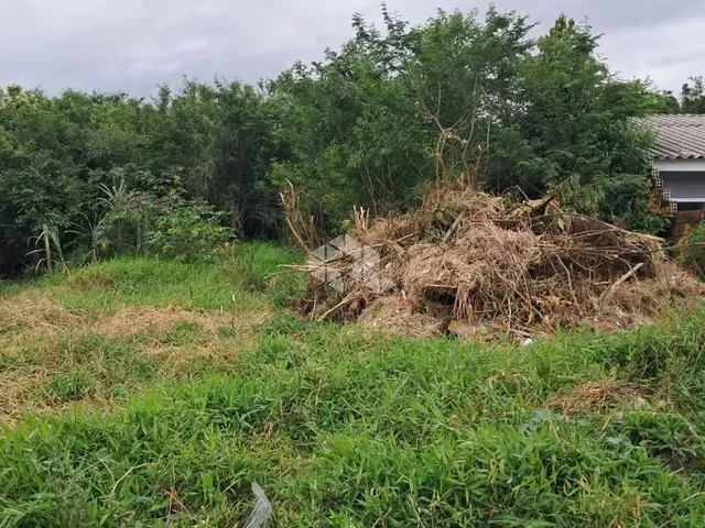 Imagem 3: Terreno - Rua Diogo Antonio Feijó