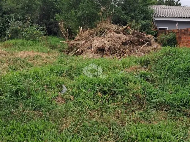 Imagem 2: Terreno - Rua Diogo Antonio Feijó