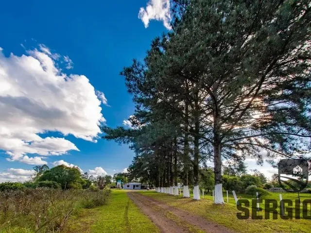 Imagem: Fazenda com 93,5Ha, Casa, Galpões e Frente