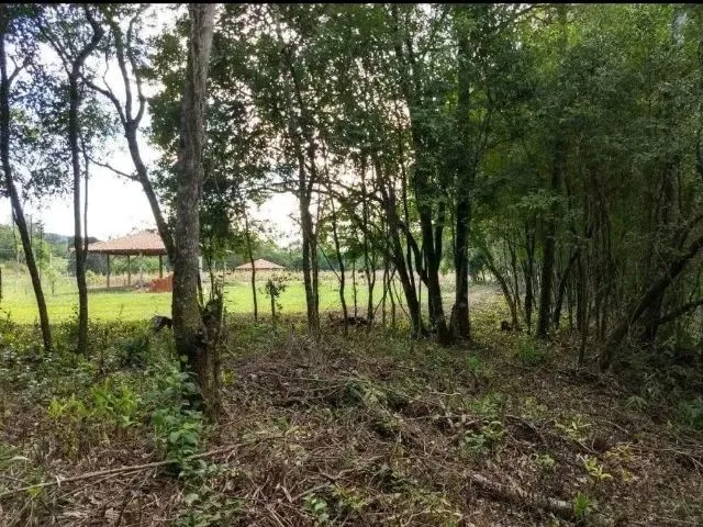 Imagem 3: Terreno/Sítio Rolante-Rs 6.591,00 M²