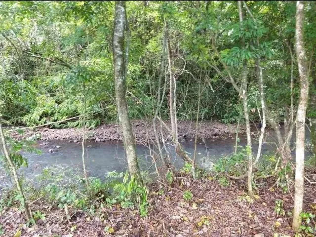 Imagem 8: Terreno/Sítio Rolante-Rs 6.591,00 M²