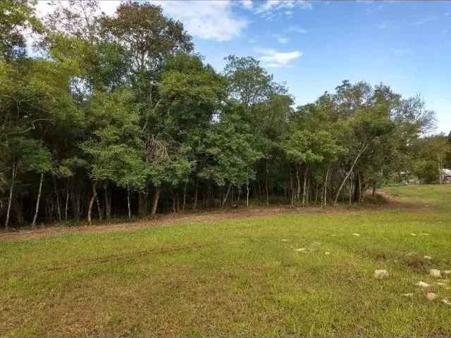 Imagem 4: Terreno/Sítio Rolante-Rs 6.591,00 M²