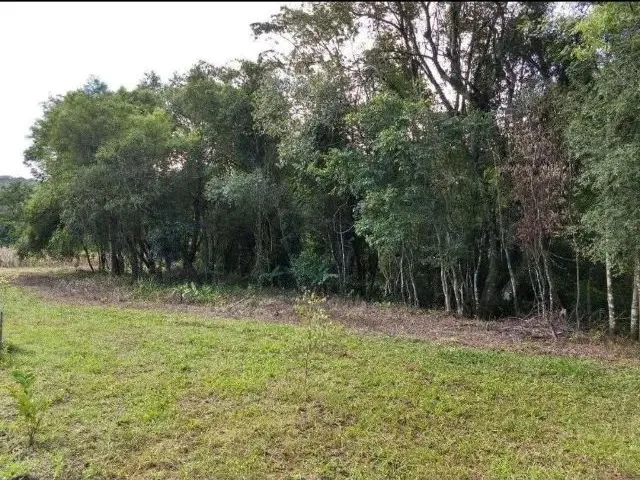 Imagem 2: Terreno/Sítio Rolante-Rs 6.591,00 M²