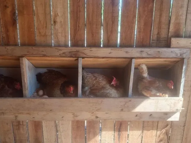 Imagem 14: Oportunidade Fora de Condomínio