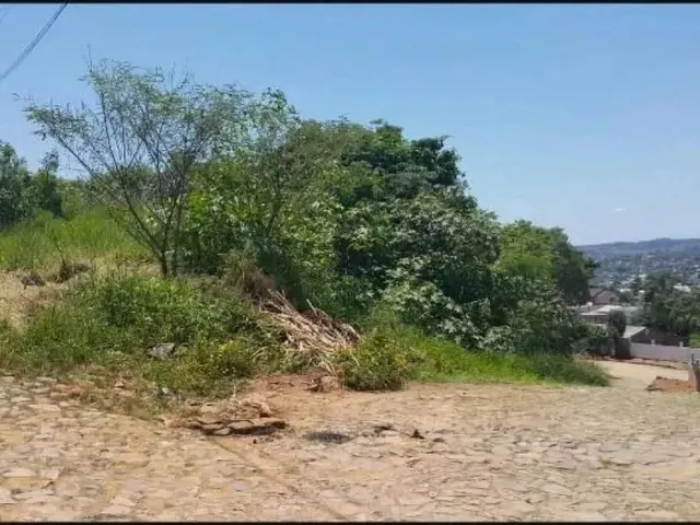 Imagem 2: Terreno 500M² - Aparecida/ Viamão