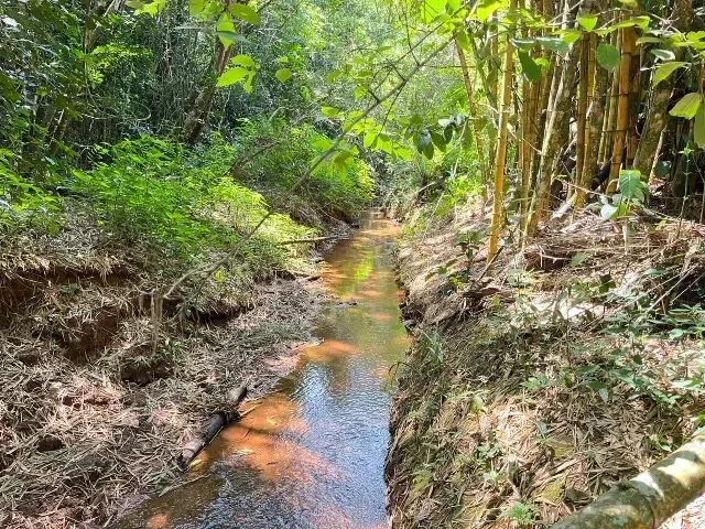 Imagem: Sítio 2 Hectares em Gravataí-Santa Tecla