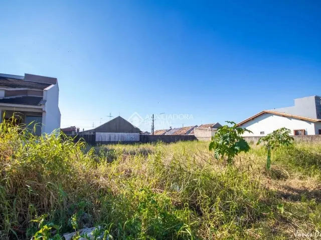 Imagem 5: Terreno de 306M² Excelente Bairro São Luis - Canoas/Rs