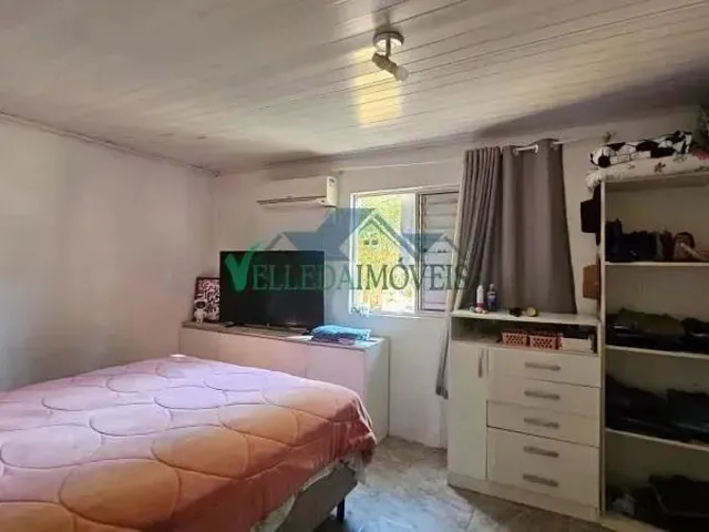 Imagem 3: Velleda Oferece Belo Sítio com Casa Aconchegante e Amplo Terreno, Refúgio em Águas