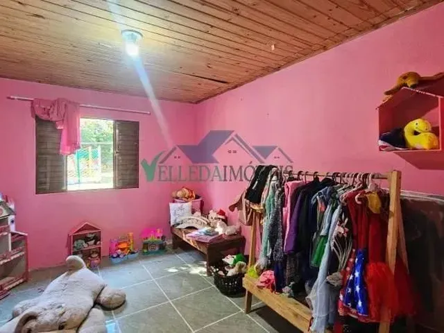 Imagem 13: Velleda Oferece Belo Sítio com Casa Aconchegante e Amplo Terreno, Refúgio em Águas