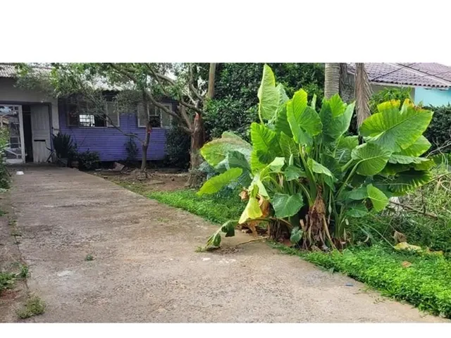 Imagem 5: Terreno Privilegiado em Cachoeirinha - 210M²