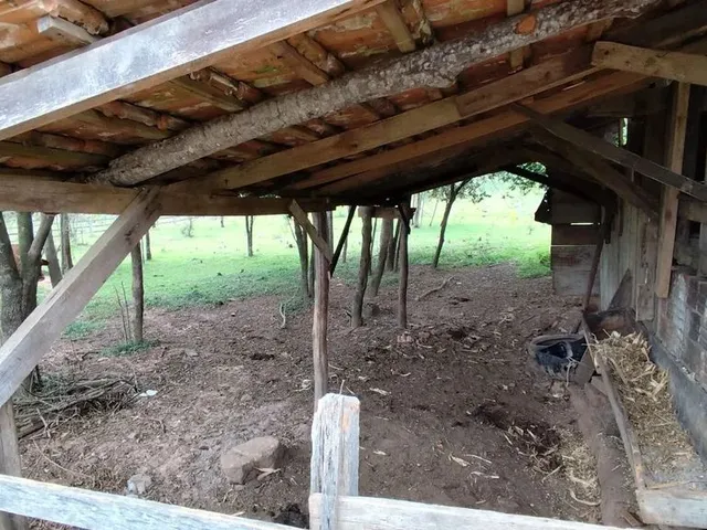 Imagem 7: Sítio, Sapiranga Rs, Valor 198,900,00