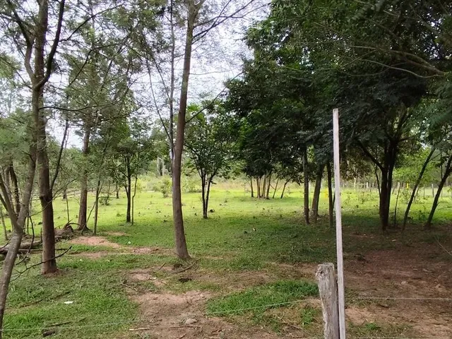Imagem 9: Sítio, Sapiranga Rs, Valor 198,900,00