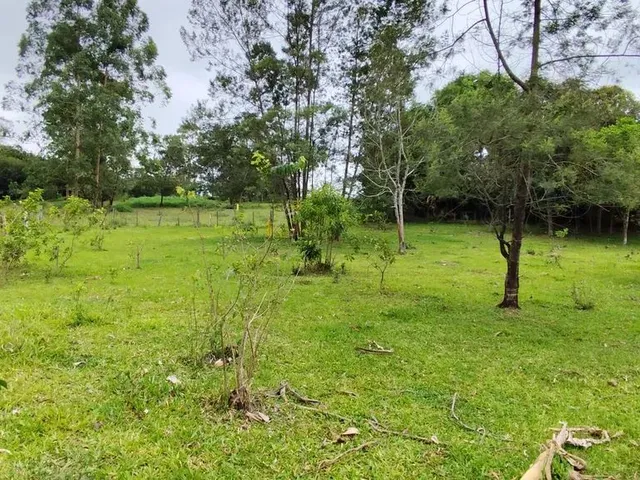 Imagem 12: Sítio, Sapiranga Rs, Valor 198,900,00
