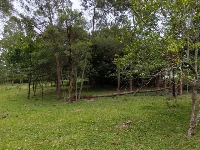 Imagem 13: Sítio, Sapiranga Rs, Valor 198,900,00
