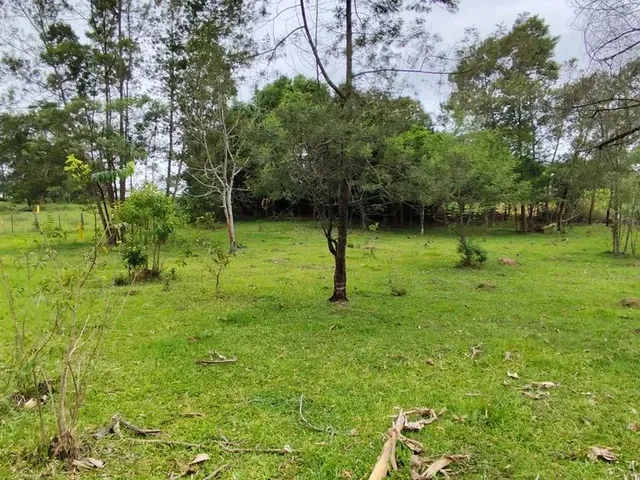 Imagem 15: Sítio, Sapiranga Rs, Valor 198,900,00