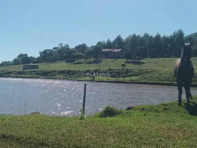 Imagem 6: Imóvel com 2 Quartos no Rincão da Saudade, Estância Velha