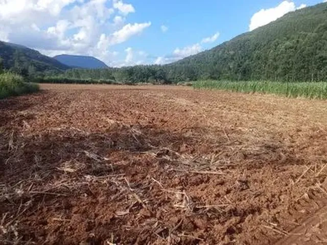 Imagem 11: Chácara com Casa , Rio nos Fundos,Roças