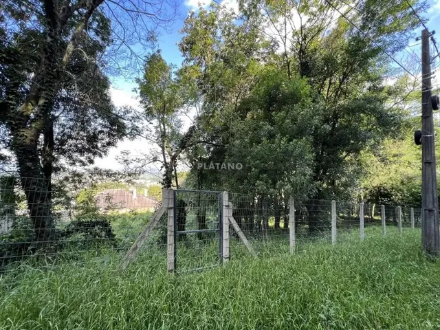 Imagem 14: Imóvel no Jardim Panorâmico, Ivoti