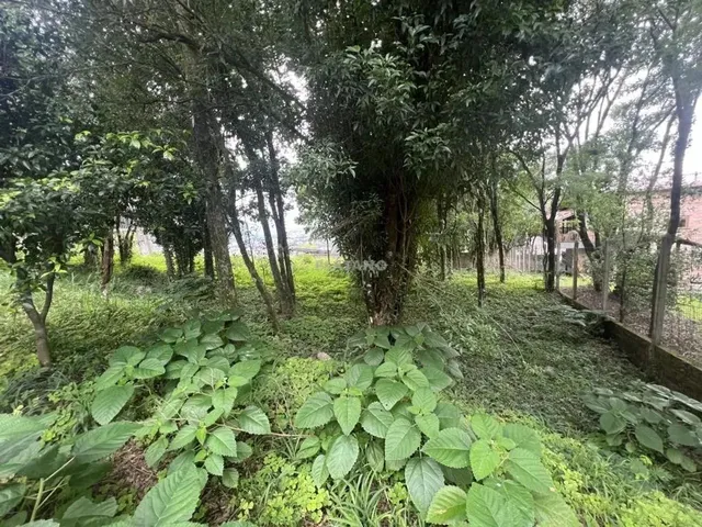 Imagem 16: Imóvel no Jardim Panorâmico, Ivoti