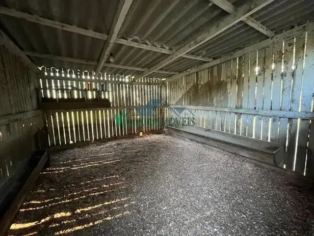 Imagem 13: Velleda Oferece Sítio Exuberante a Menos de 10Km do Centro de Viamão