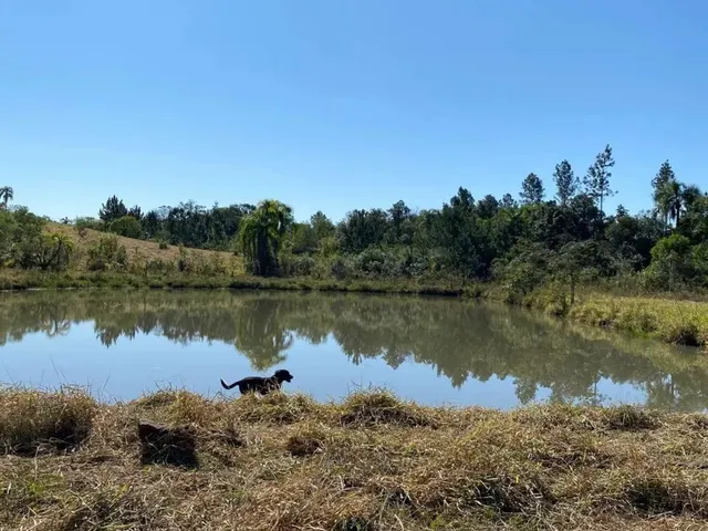 Imagem 4: Sítio 10,8 Hectares com 2 Casas em Taquara/Rs