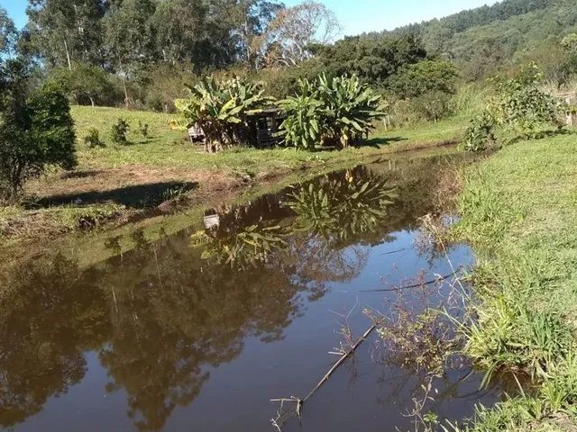 Imagem 4: Chácara 5 Hectares no Interior de Taquara Rs
