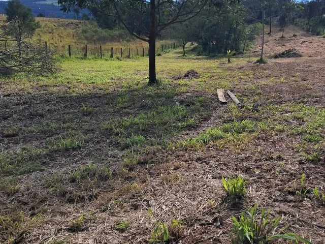 Imagem 3: Sitio na Faixa de Taquara Pd 104