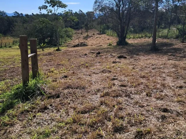 Imagem 4: Sitio na Faixa de Taquara Pd 104