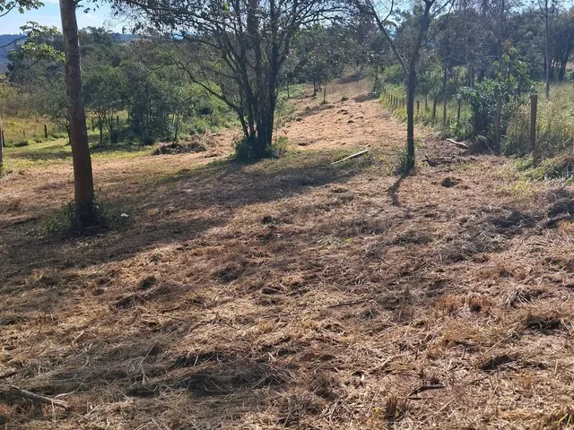 Imagem 6: Sitio na Faixa de Taquara Pd 104