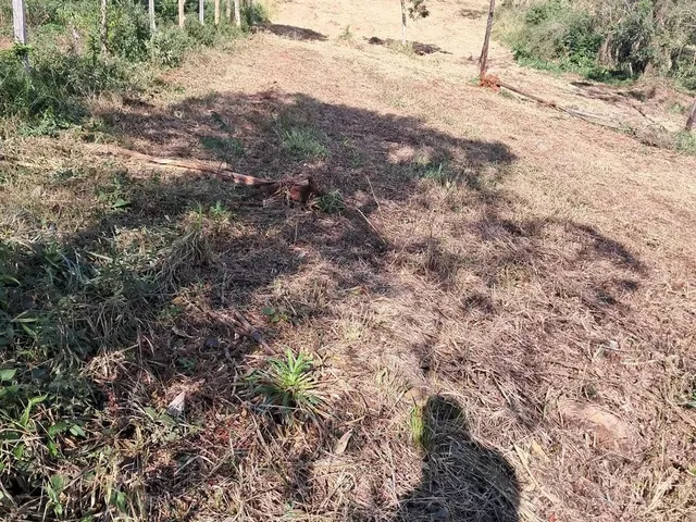 Imagem 7: Sitio na Faixa de Taquara Pd 104