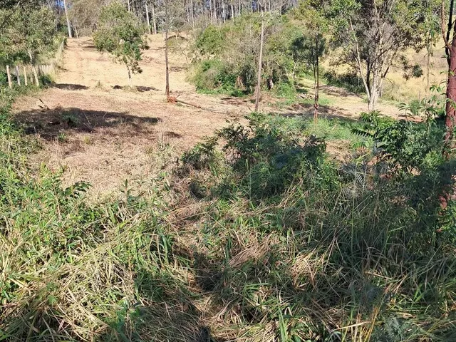 Imagem 8: Sitio na Faixa de Taquara Pd 104