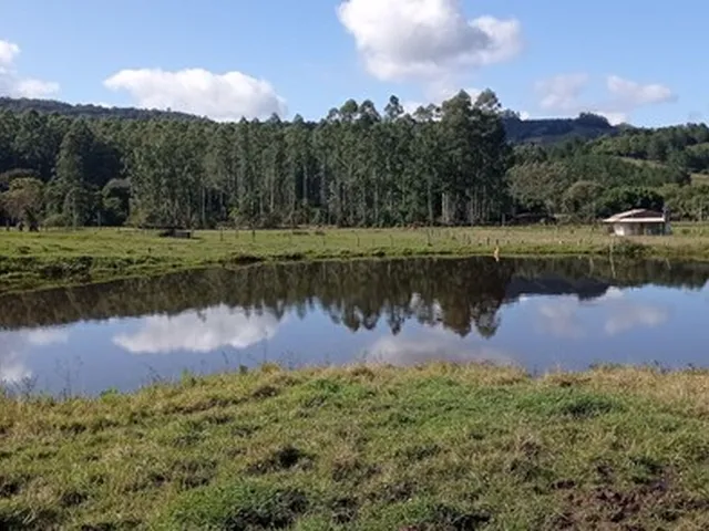 Imagem: Chácara 4,9 Hectares Potreiro e Açúde
