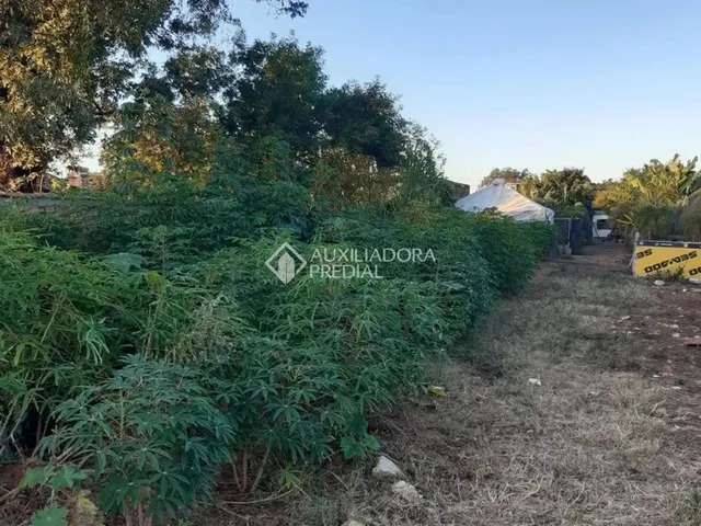 Imagem 1: Excelente Terreno de 260 M² no Bairro Fátima - Canoas
