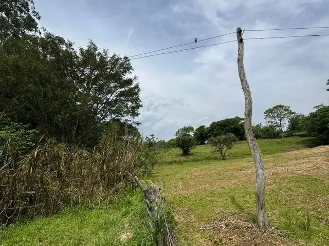 Imagem 8: Sítio em Gravataí com Casa- Parada 86