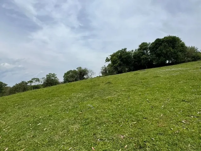 Imagem 10: Sítio em Gravataí com Casa- Parada 86