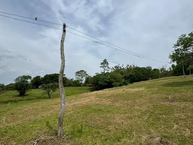 Imagem 12: Sítio em Gravataí com Casa- Parada 86