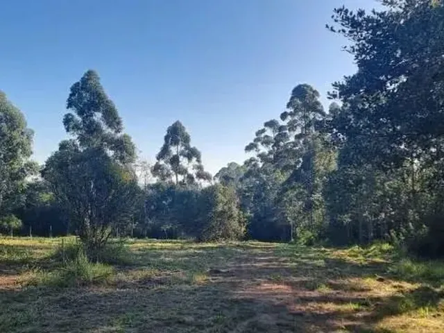 Imagem 2: Velleda Oferece Sítio 1 Hectare em Condomínio Próximo Ao Centro de Viamão