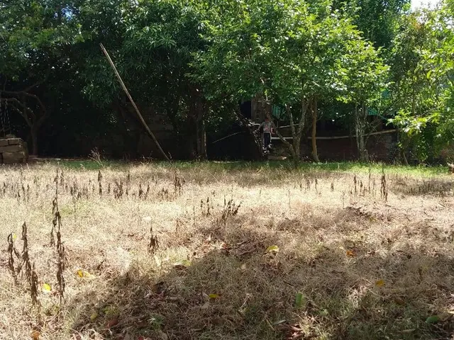 Imagem: Vendo Um Terreno em Rolante Rs